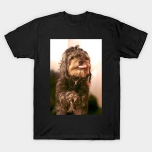 Rude dog T-Shirt